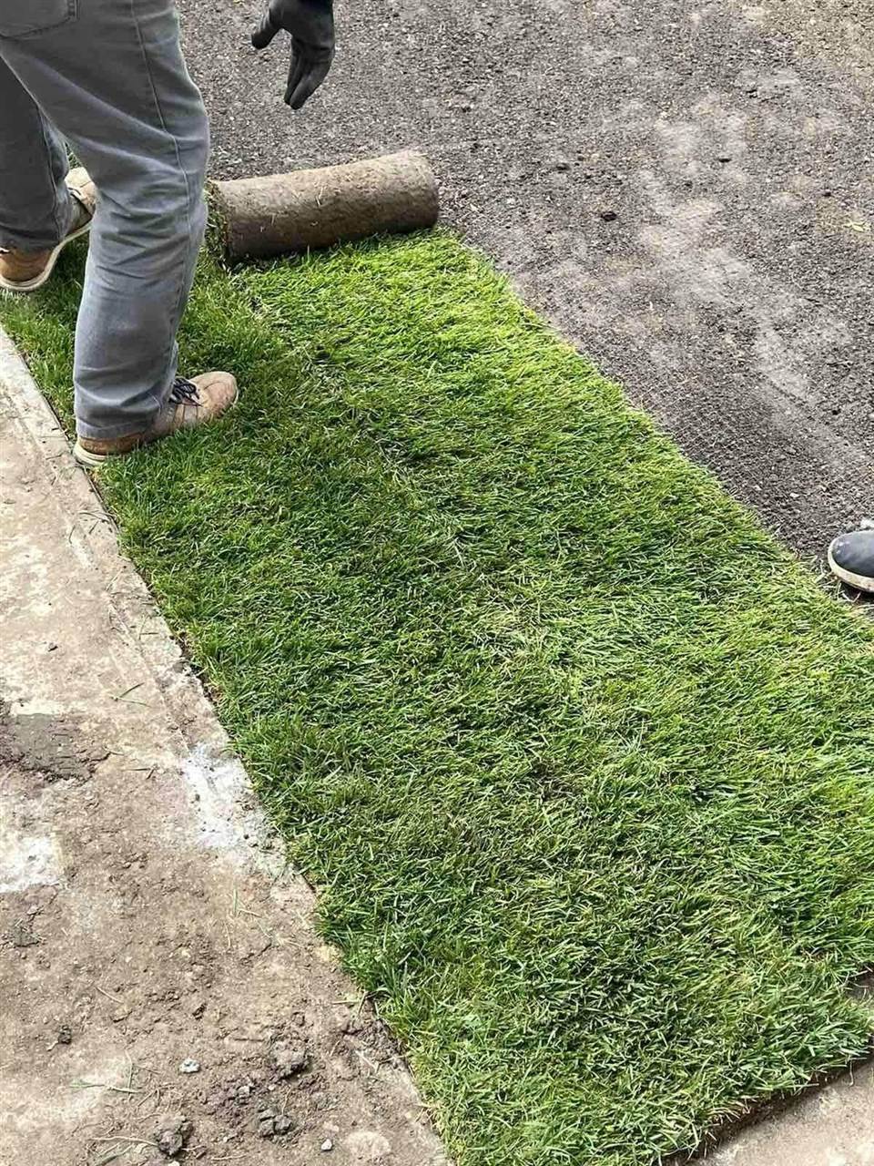 Gyepszőnyeg lerakása előkészített talajra