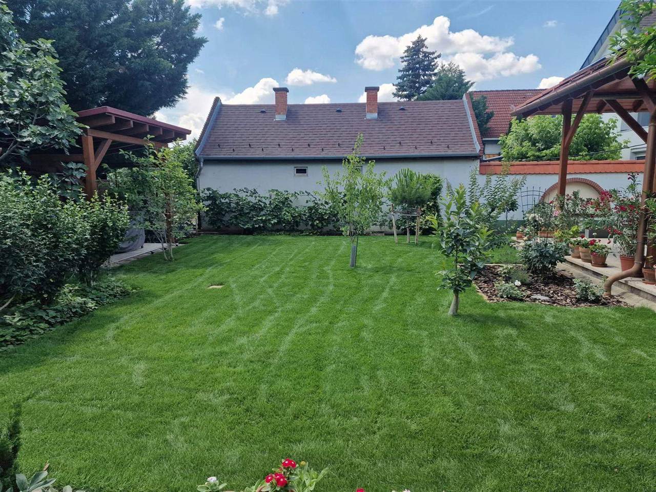 Gondozott hátsó kert pergolával és friss gyeppel
